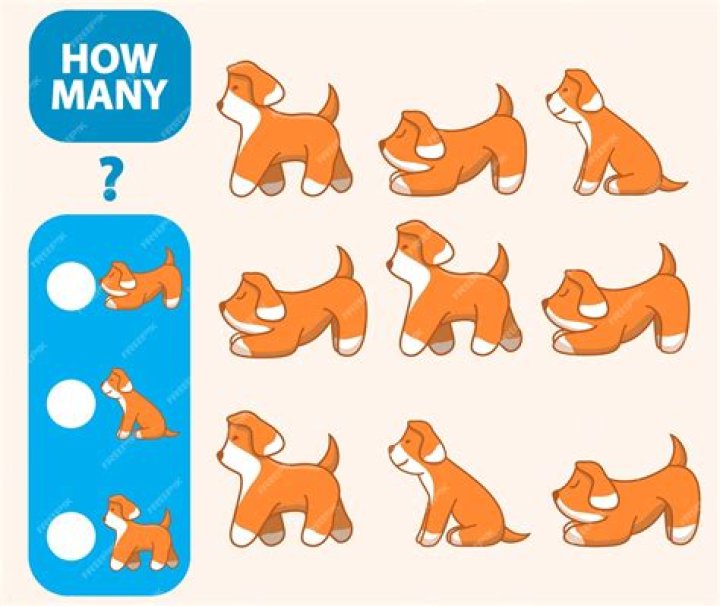 Brain Teaser: How Many Dogs are There?