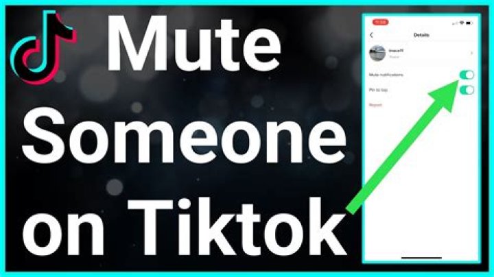 can i mute someone on tiktok?