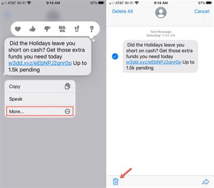 Can you delete text messages from phone bill?