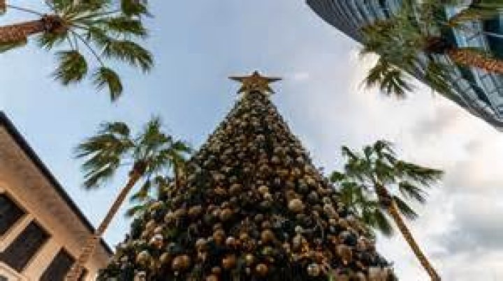 Darwin and Palmerston Christmas lights map 2023