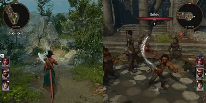 Does Baldur's Gate 3 have Split-screen Local co-op? Know Here!