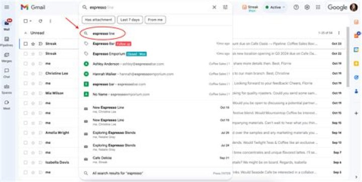 How do I delete my email search history?