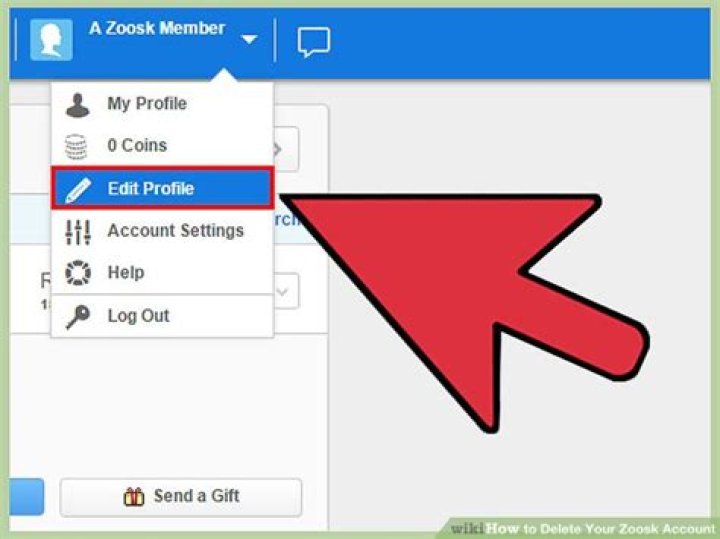 how do i delete my zoosk account?