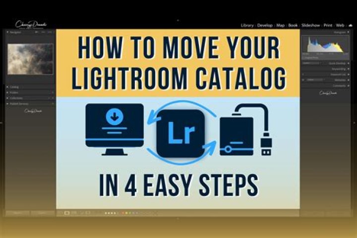 how do i organize my lightroom catalog?