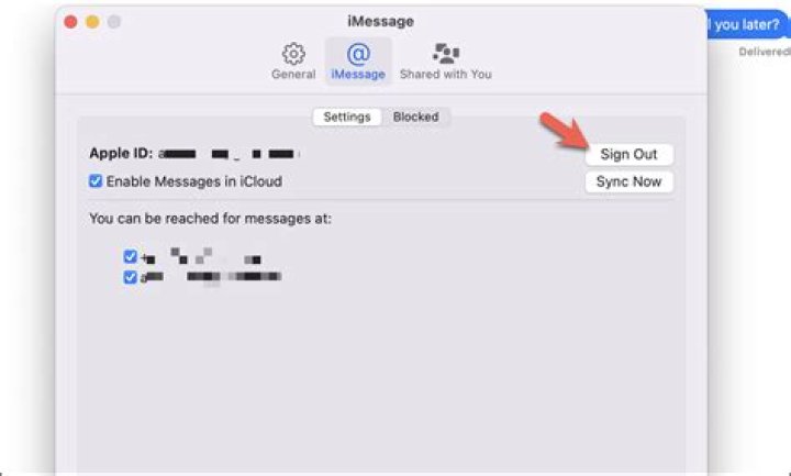 How do I turn off iMessage on my Mac 2019?