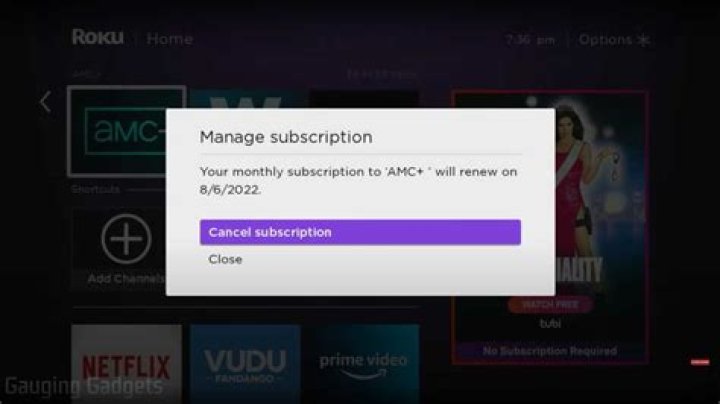 How do you cancel your Roku account?