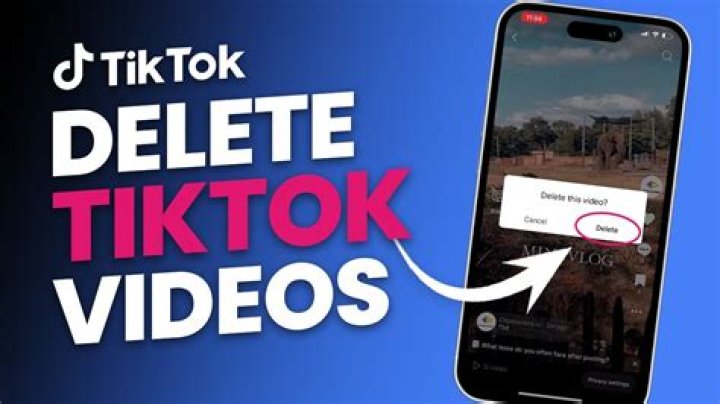how many reports does it take to delete a tiktok video?