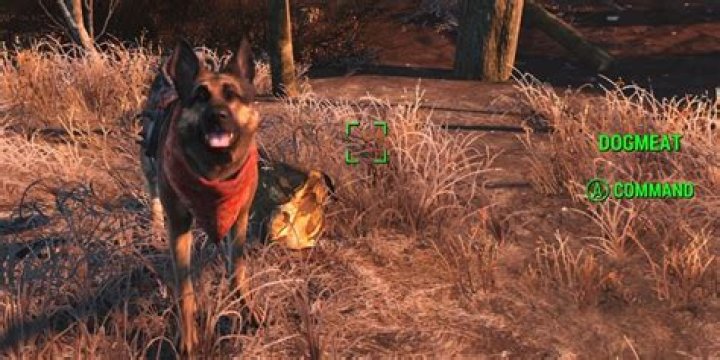 how to call dogmeat back fallout 4 ps4?