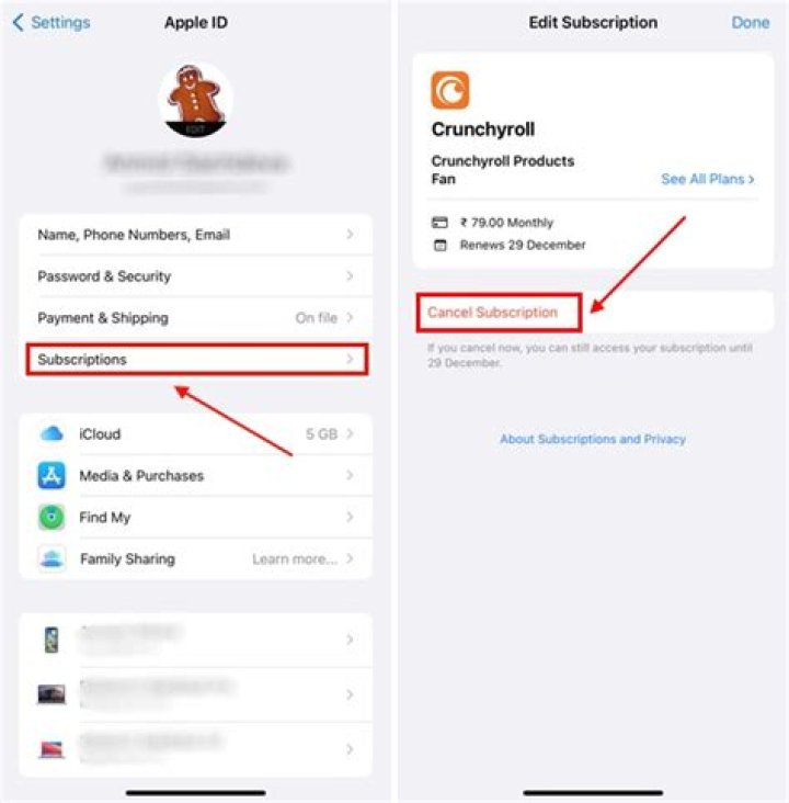how to cancel crunchyroll membership on iphone?