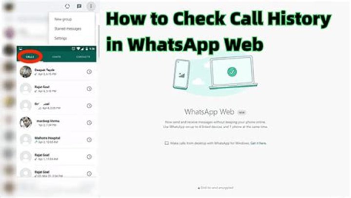 how to check video call history on whatsapp web?