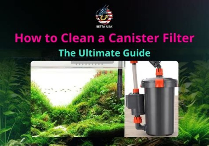 how to clean a canister filter?