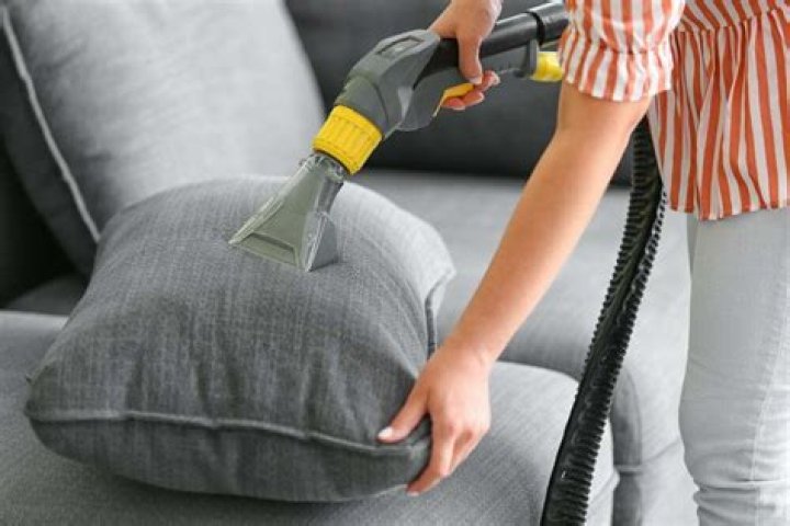 how to clean a couch after mice?