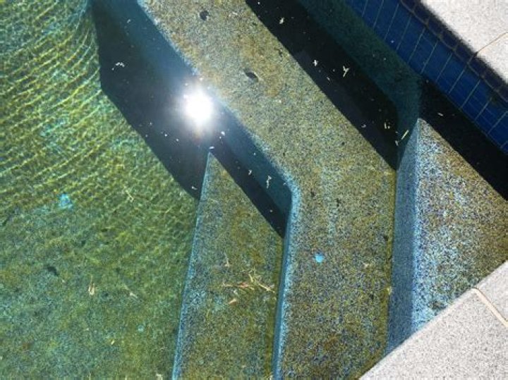 how to clean algae from bottom of pool?