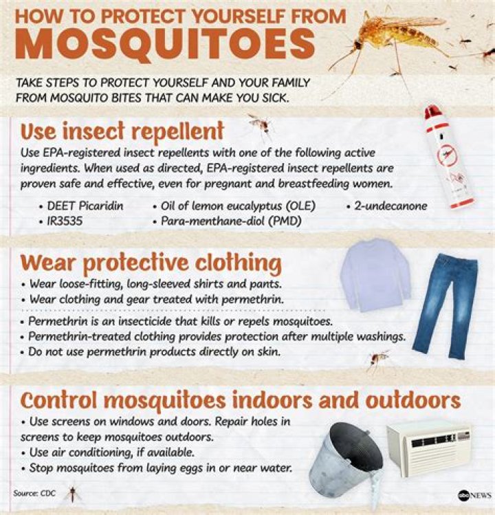 How To Control Mosquitos, According to an Entomologist