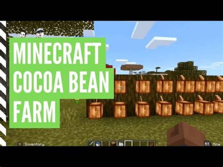 how to make cocoa beans in minecraft xbox 360?