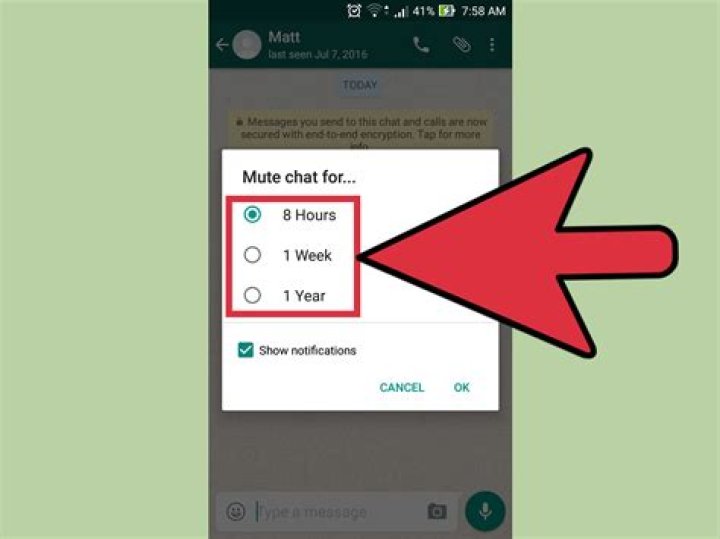 how to mute whatsapp?
