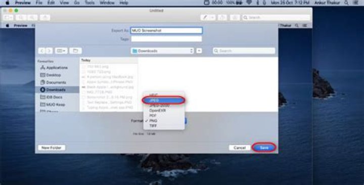 how to save screenshot as jpeg on mac