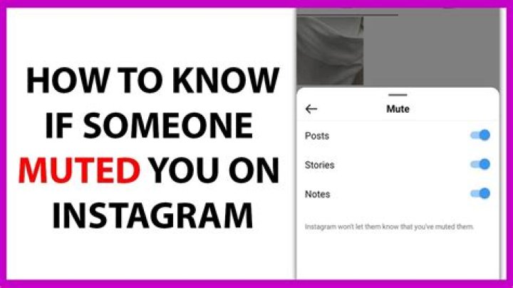how to see muted stories on instagram?
