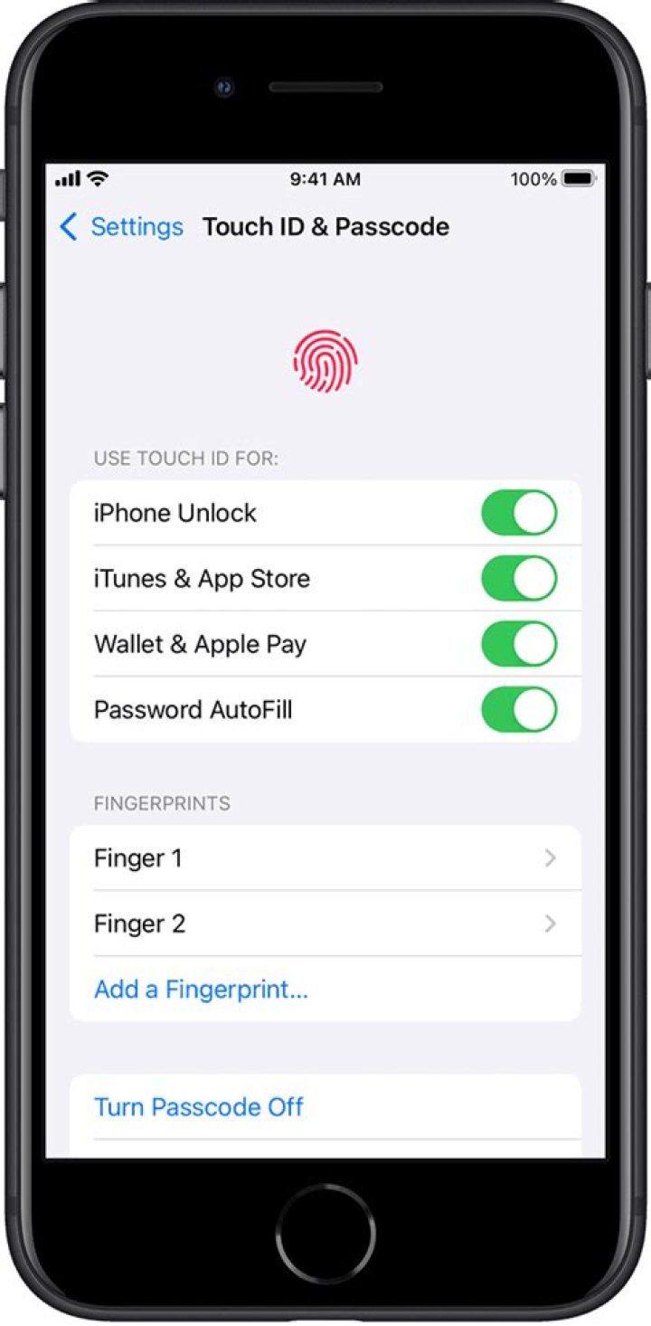 how to set up fingerprint on iphone 11?