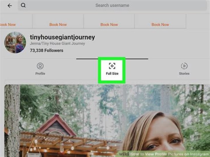 how to view profile pictures on instagram?