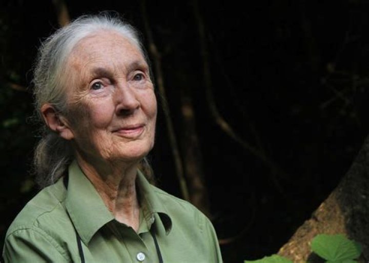 Is Jane Goodall Alive
