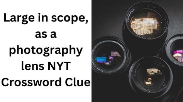 Large in scope Crossword Clue NYT