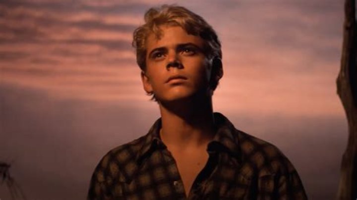 Ponyboy Curtis: An In-Depth Look At His Character Traits