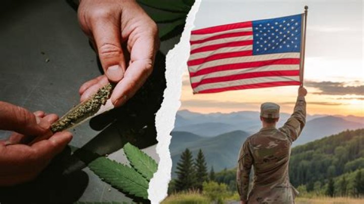 Recent Cannabis Seizure by the Army