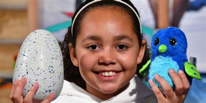 Toys AndMe Net Worth