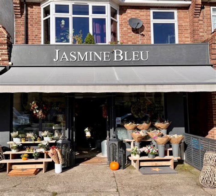 Unveiling The Intriguing Jasmine Bleu Net Worth