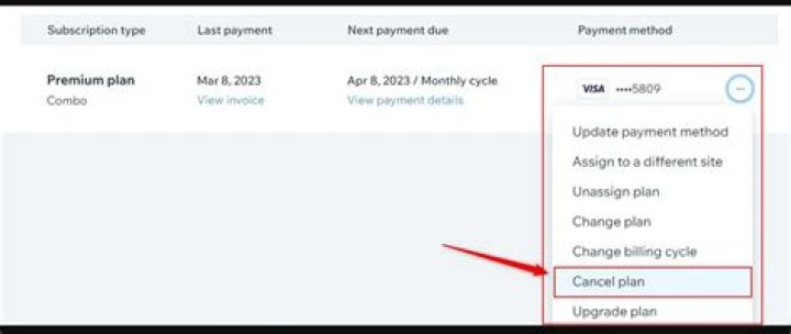What happens if you cancel Wix plan?