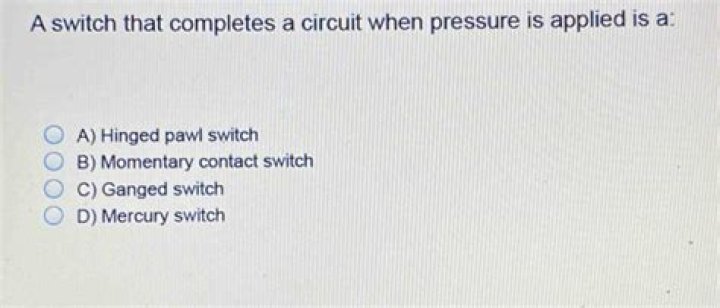 what is a hinged pawl switch?
