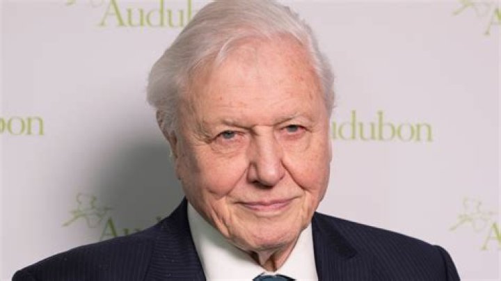 What is David Attenborough's net worth?