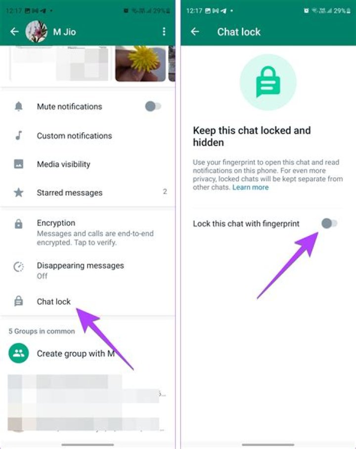 WhatsApp: How to Hide the Writing Message?