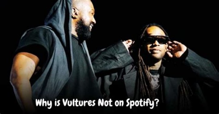 Why is Vultures Not on Spotify? All About Vultures