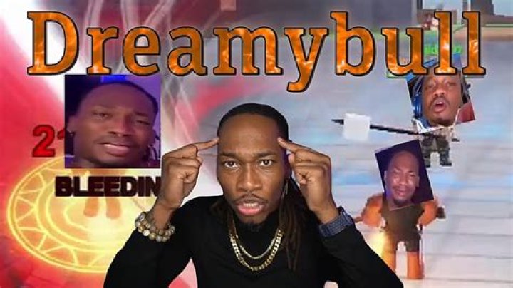 Why Was Dreamybull Arrested? What Did He Do? Video Explained
