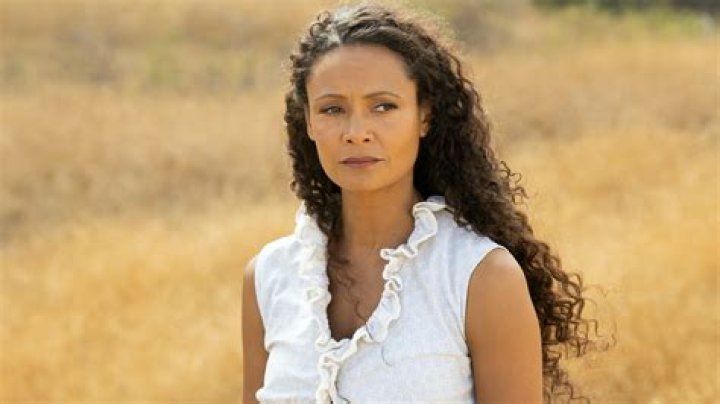 Will Westworld Finish Where it Began?
